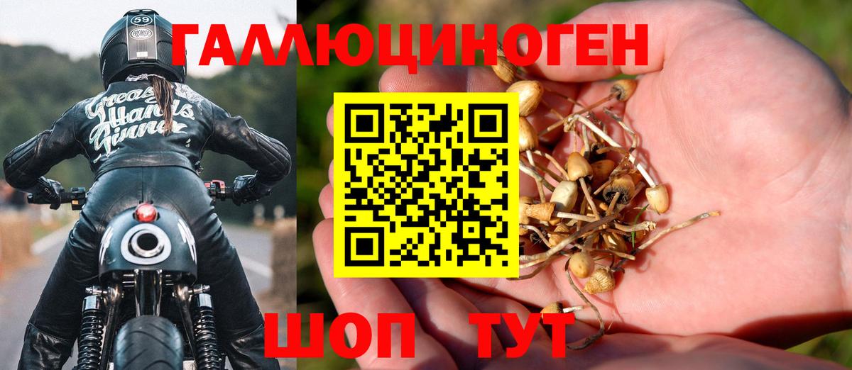 Псилоцибиновые грибы мухоморы  Вход с VPN  сколько стоит  Псилоцибиновые грибы мухоморы  Кандалакша 